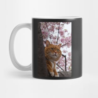 The Spring Cat Mug